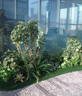 室内植物墙怎么装饰好看,室内植物墙如何搭配软装