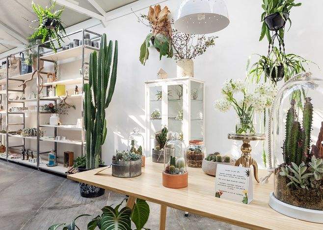 开一家花店赚钱的方法,你知道开一家店需要多少钱吗