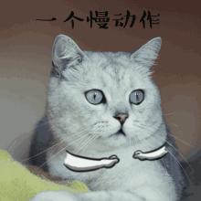 电脑开机系统崩溃怎么恢复,电脑无法启动怎么恢复系统