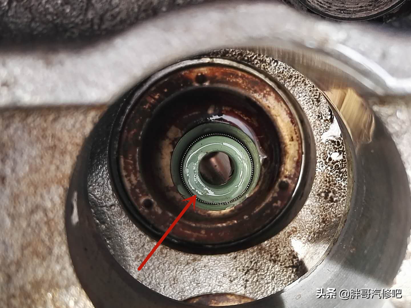 发动机烧机油胖哥,发动机烧机油一定不要着急更换