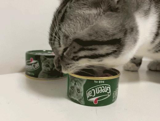 13款热门猫咪主食罐测评红黑榜,猫咪主食罐十大排名