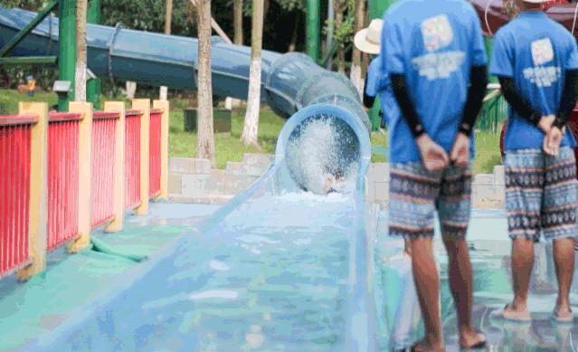 南京汤山欢乐水魔方攻略,南京汤山水魔方水上乐园开放时间