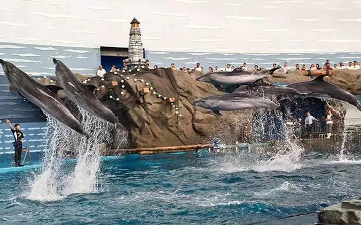 大连滨海路几月最美,大连最美季节