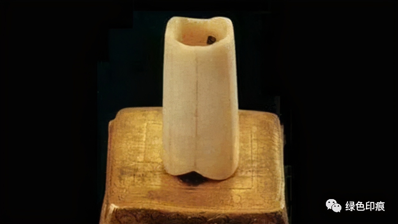 法门寺景区美景视频,法门寺震撼视频