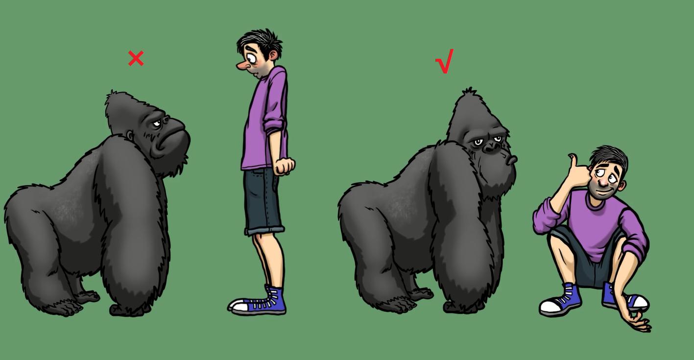 野外遇到大型动物如何自救,如果在野外遇到危险动物该怎么办