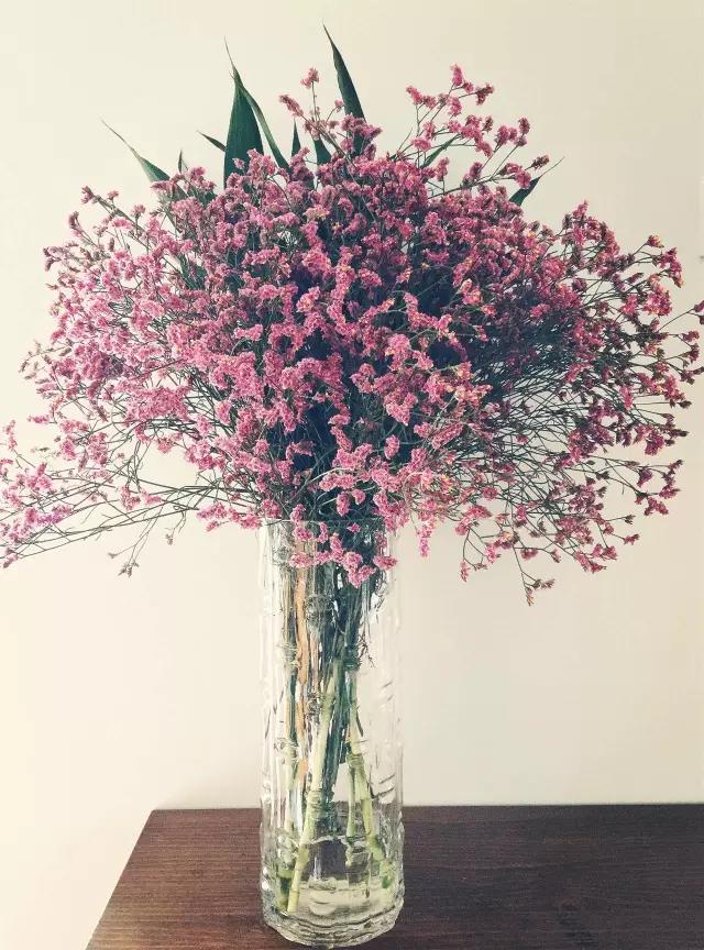 花艺必备|盘点那些超受欢迎的日本进口花材