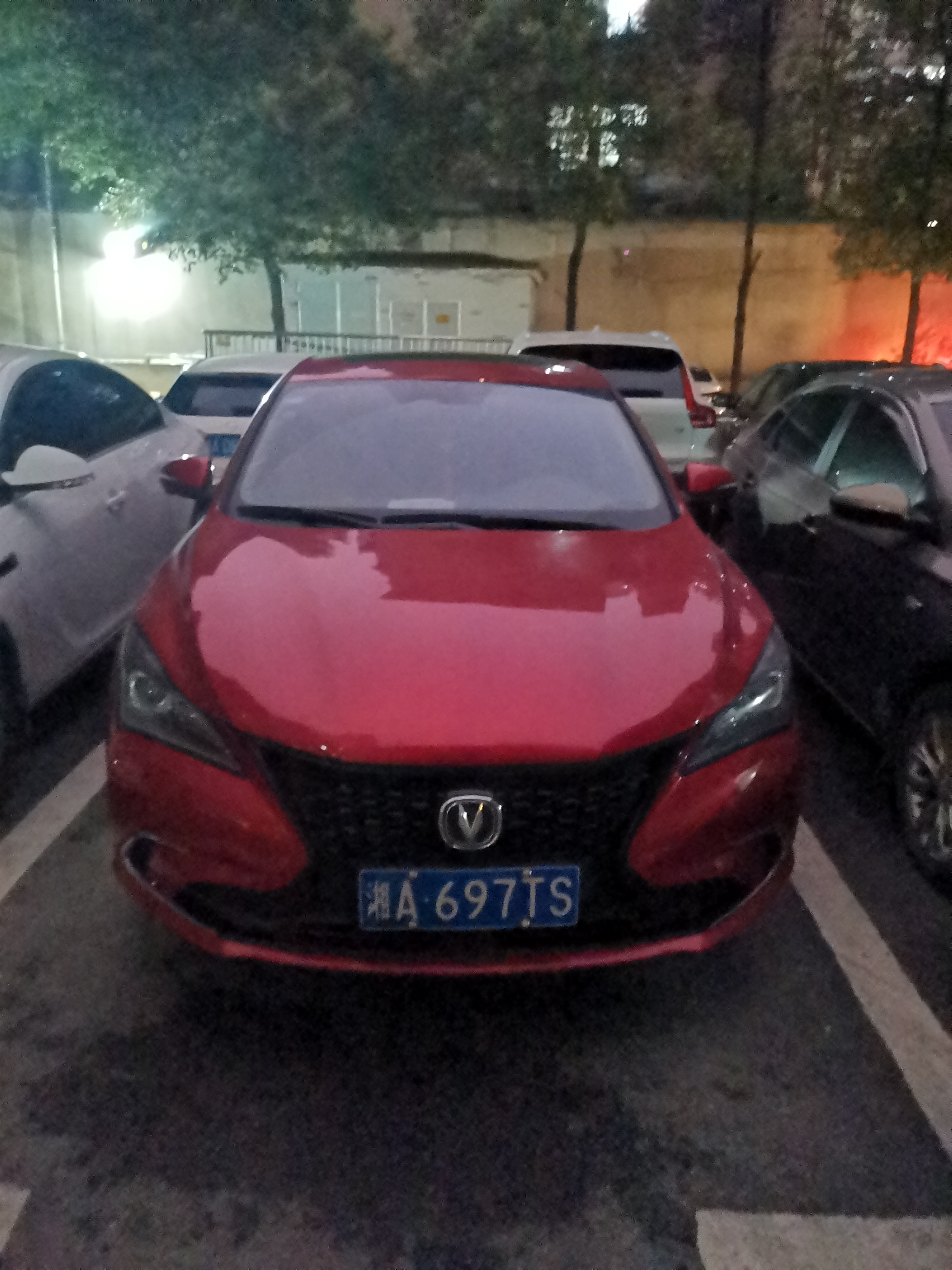 长沙湘绣城攻略一日游景点,沙坪湘绣博物馆镇馆