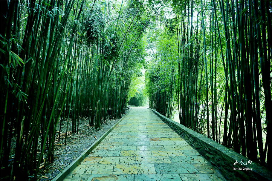 神奇的梵净山真正的天空之镜,梵净山金顶旅行真实感受