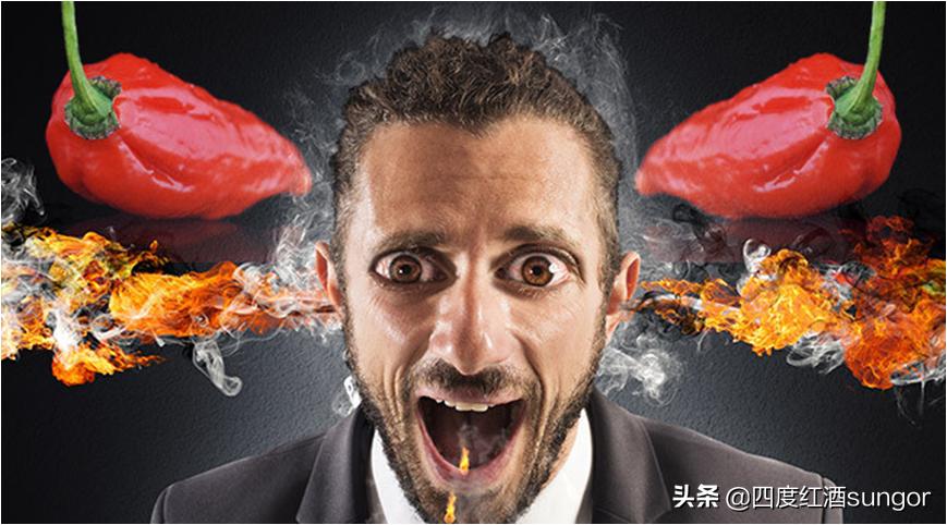 简述喝葡萄酒的四个步骤,喝葡萄酒的四大步骤