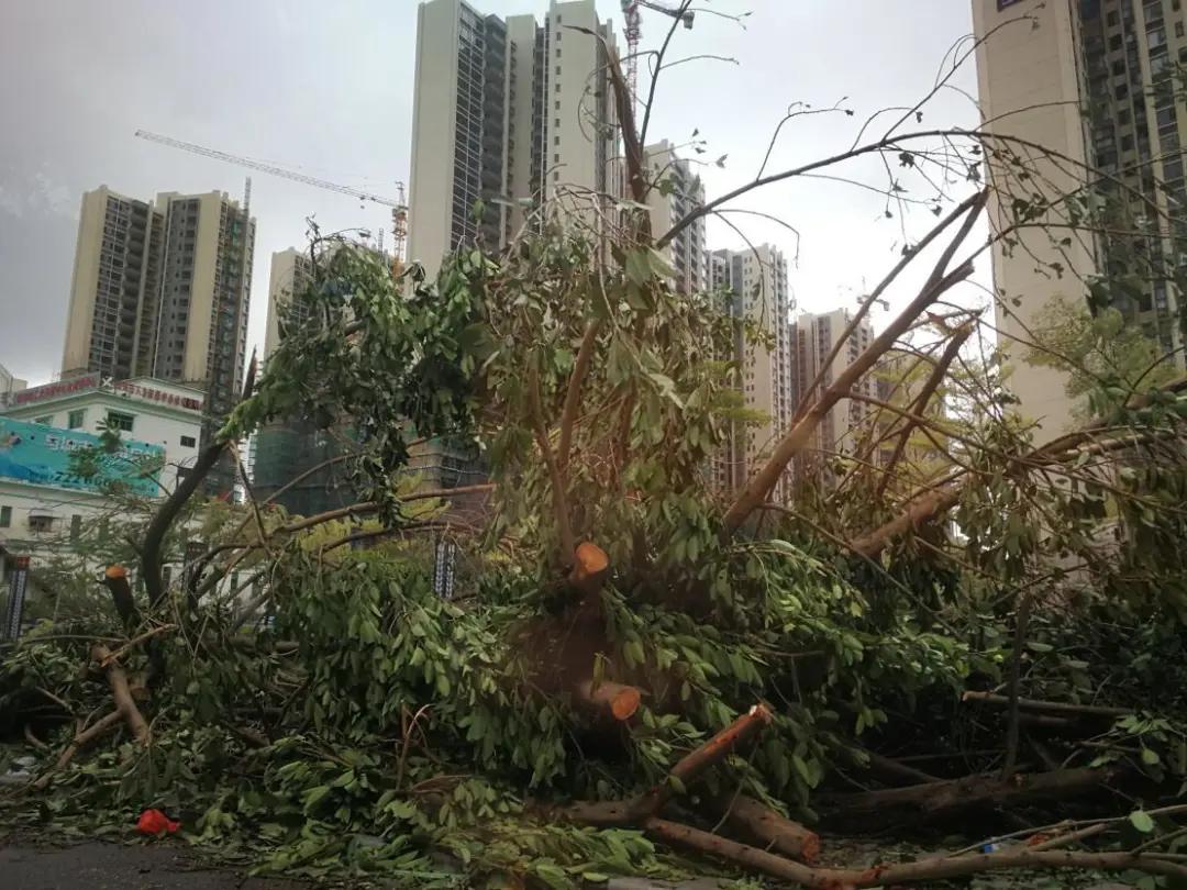 这才是军人最好的待遇,这才是军人荣誉电视剧