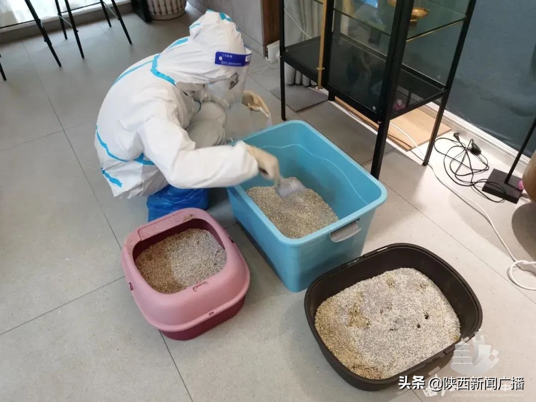 曲江南苑解封最新通报,西安隔离小区啥时候解封