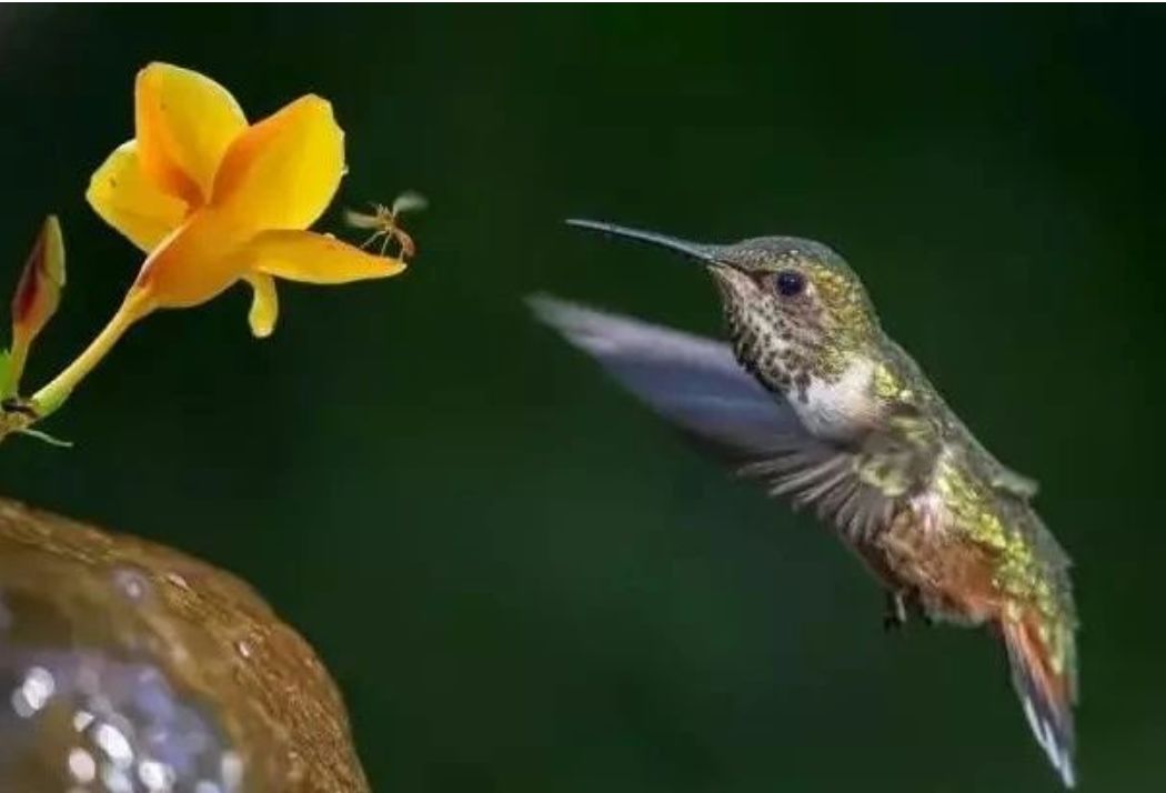 每个生命都值得被虐待,任何生命都不该被虐待