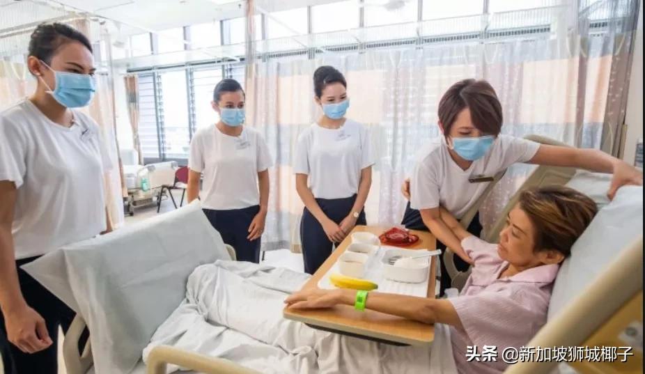 新加坡空姐现状,新加坡空姐最近情况