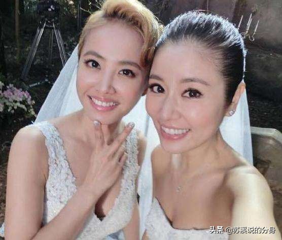 那些年被鹿晗人气震惊的明星,盘点明星眼中的鹿晗