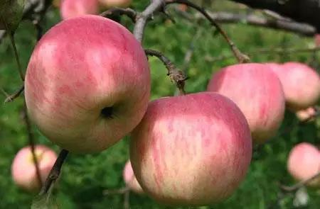 我在长武刚刚好,何必羡慕北上广