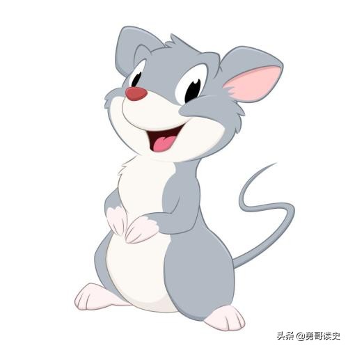 十二生肖里面为什么没有属猫的,十二生肖中为什么没有猫故事