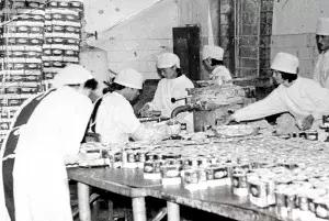 昆明饭店80年代照片,70年代昆明有名的馆子