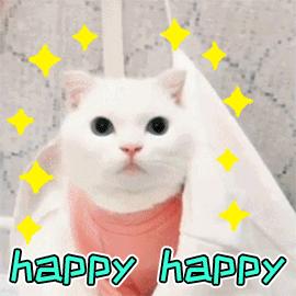 2684亿元,2684亿大项目