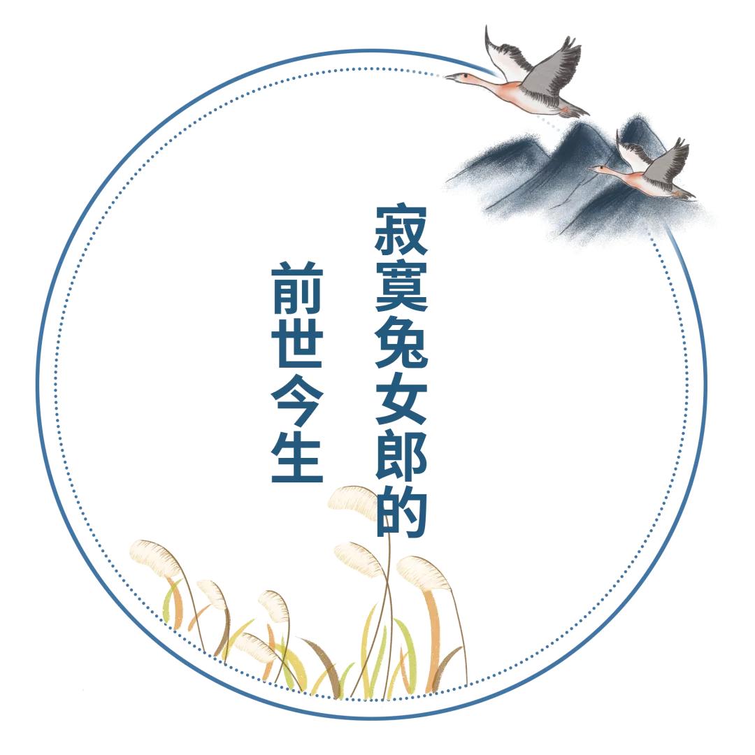 但愿人长久千里共婵娟嫦娥的故事,但愿人长久千里共婵娟嫦娥