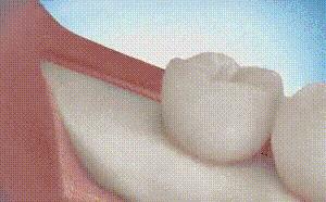 科普张姿势动图:感觉自己姿势又涨了100点