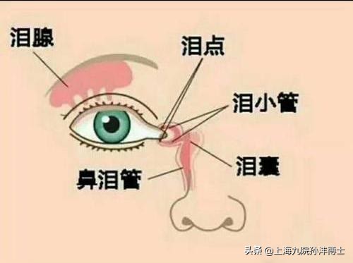 上海九院孙沣博士眼角修复,孙沣修复外眼角