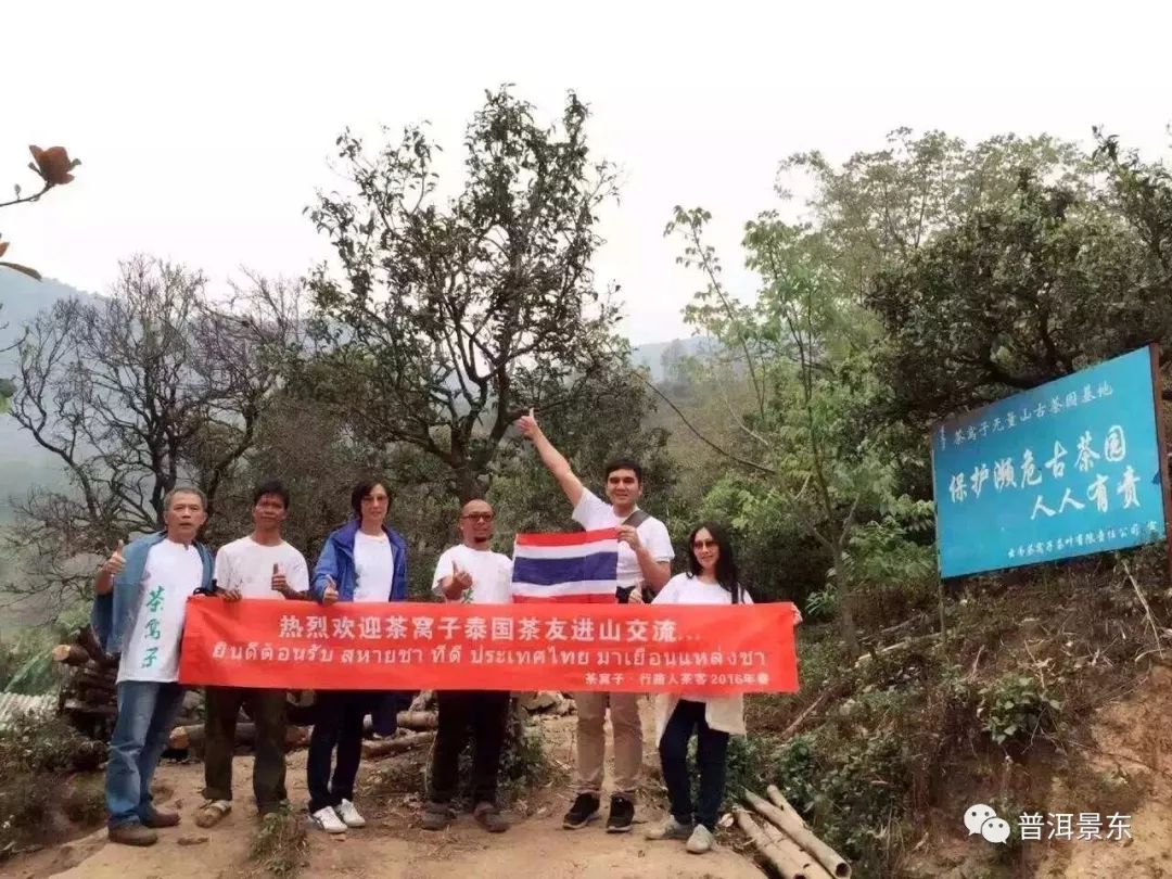 周文军：一个把茶窝子开到3个国家的景东人