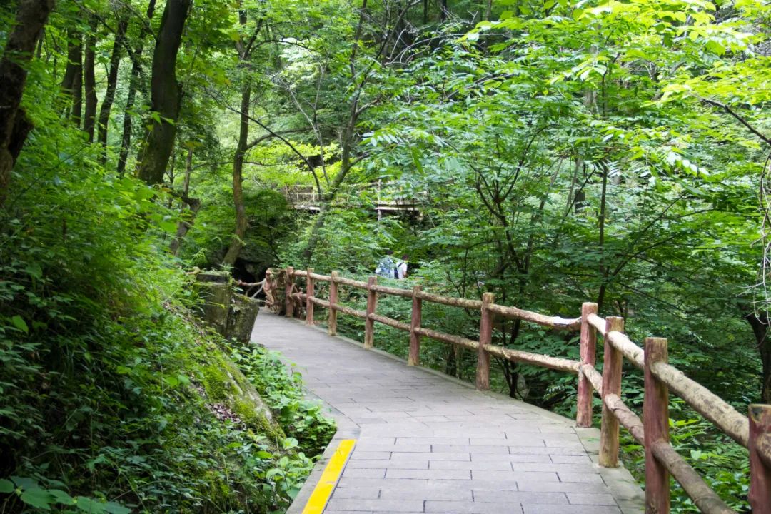 索道9公里,太平山索道80一个来回多久