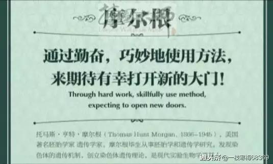 英语八年级上册将来时知识点,人教版八年级上册英语7单元2b短语