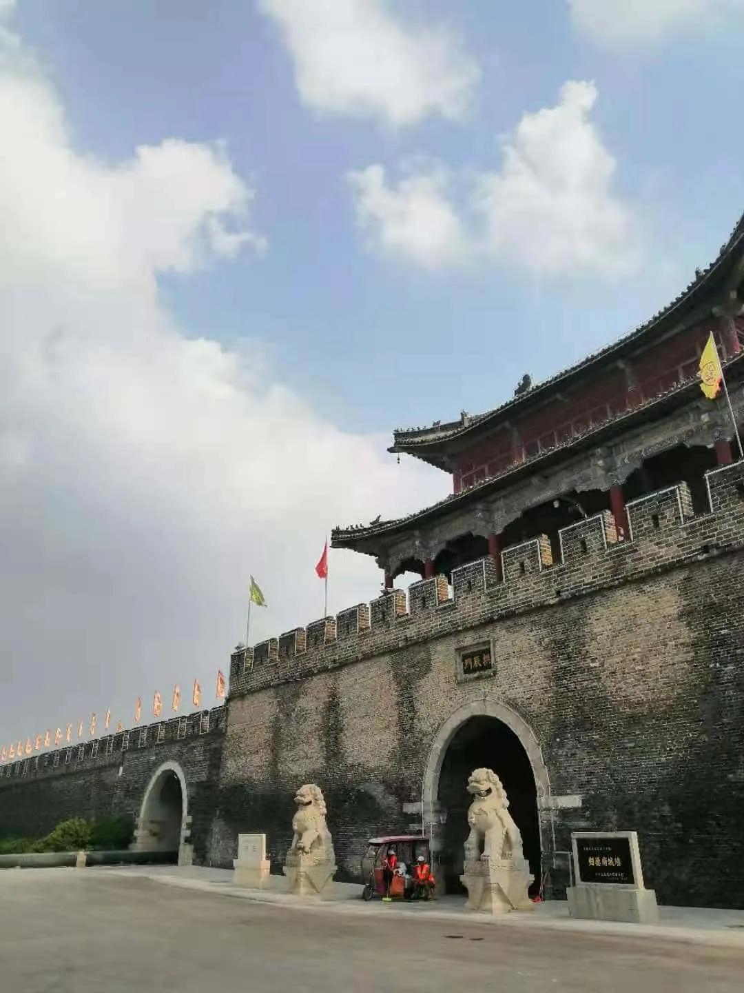 章草名家谈章草,学习章草可以直接学章草千字文吗