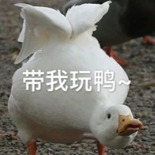 假期上海好去处,上海放假旅游好去处