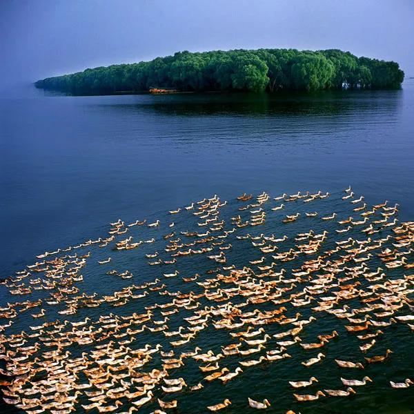 岳阳到底是怎样的,岳阳以后会变好吗
