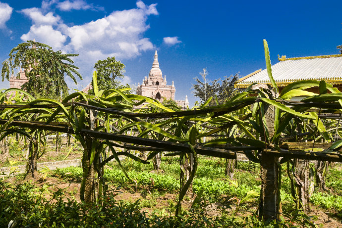 瑞丽中缅村一寨两国,云南德宏瑞丽一寨两国翡翠