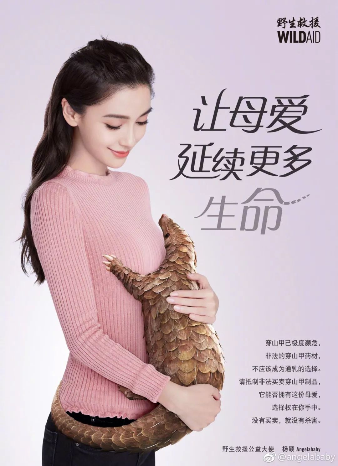 各种明星对杨颖的评价,盘点明星对杨颖的评价