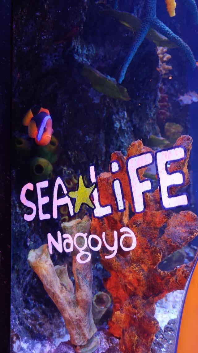 景点打卡日本名古屋乐高公园,日本名古屋乐高公园