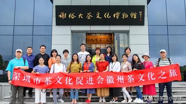 谢裕大被收购,谢裕大最新消息