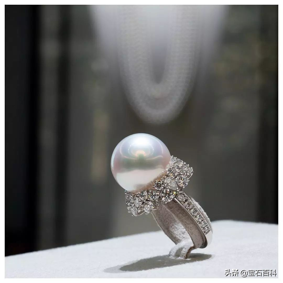 澳白珍珠和南洋金珍珠,澳白南洋白珍珠