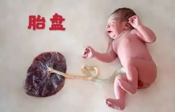 这东西每个妈妈都拥有过：有人一眼都不敢看，有人却将它捧上天