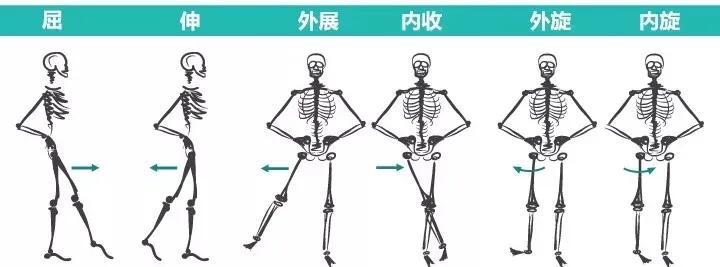 劈叉劈不下去练什么,劈叉胯不正怎么练