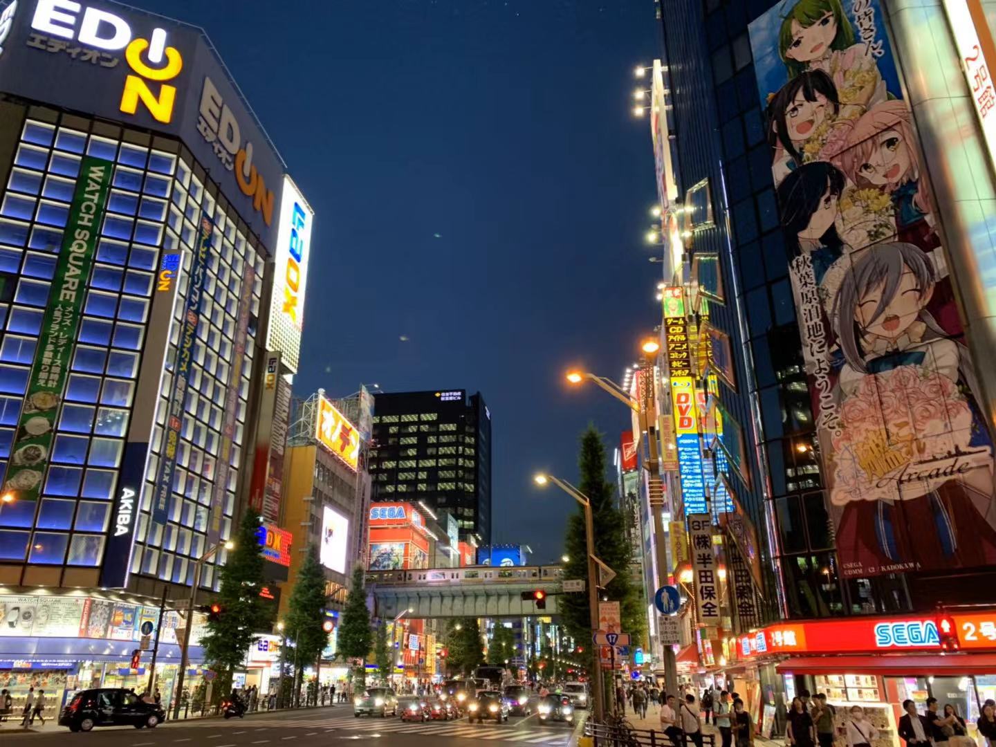 东京游记攻略,东京旅游指南攻略