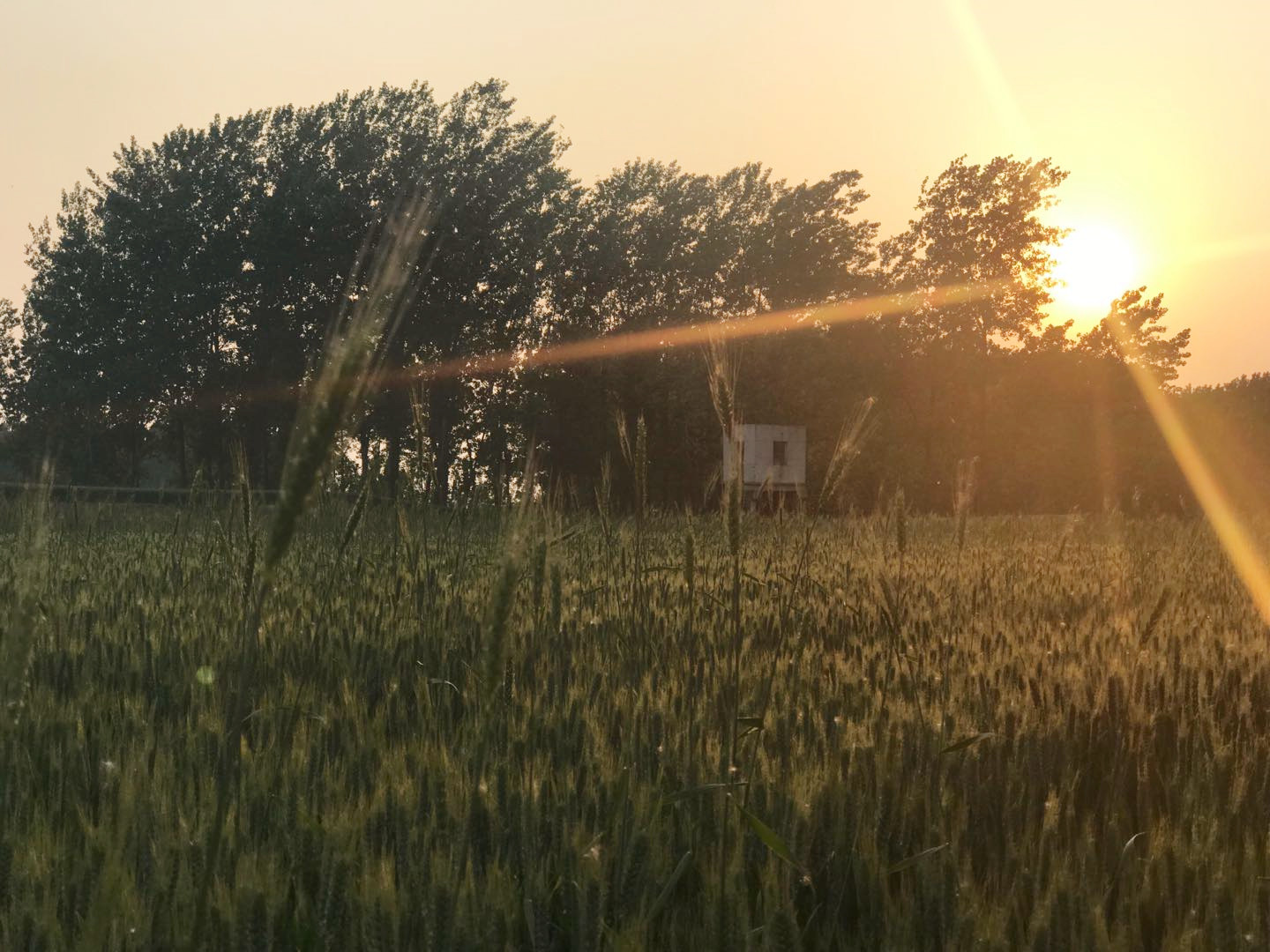 携快乐出发，邀幸福直达—自驾唐DM深圳至洛阳1500公里之旅