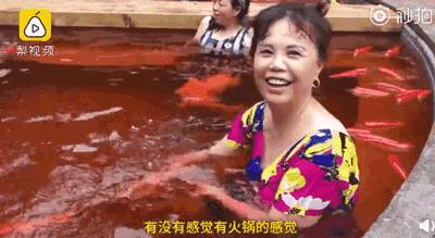 重庆人对东北人印象,重庆人有北方血统