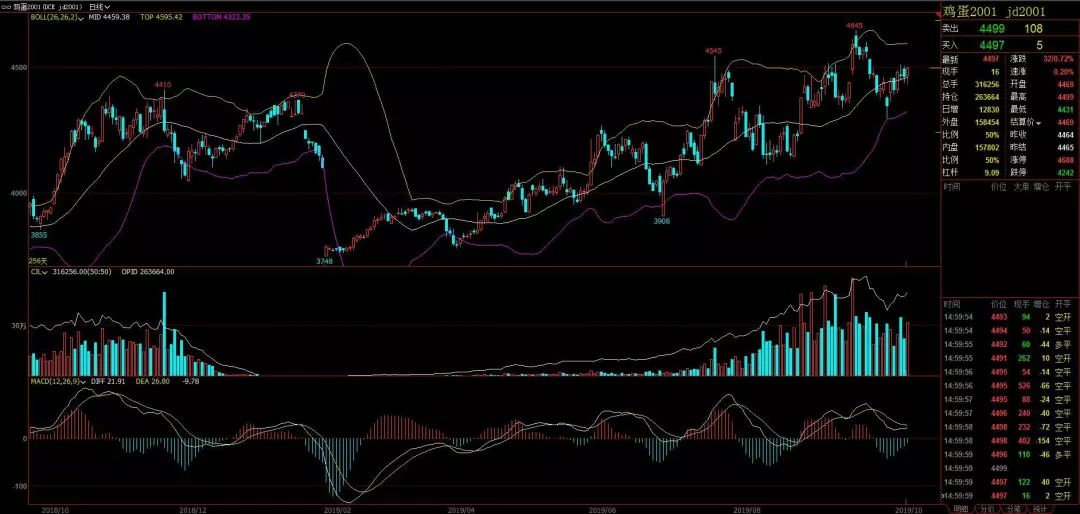 每日交易市场分析,每日交易入门基础知识
