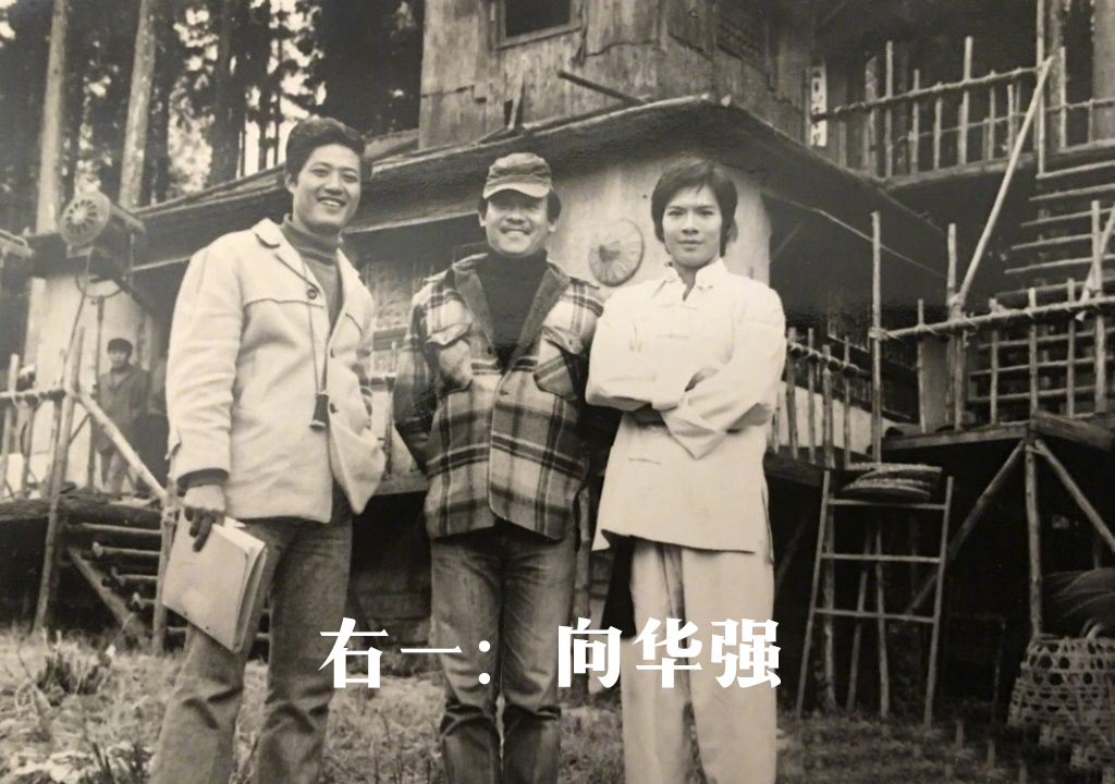 郭碧婷为啥嫁向佐,郭碧婷想要嫁的家庭有多牛