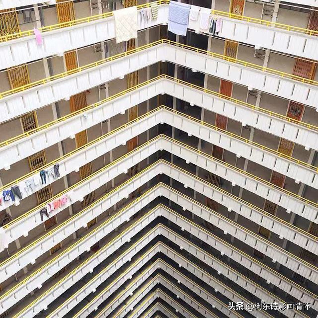 七律岁月,七律岁月年轮