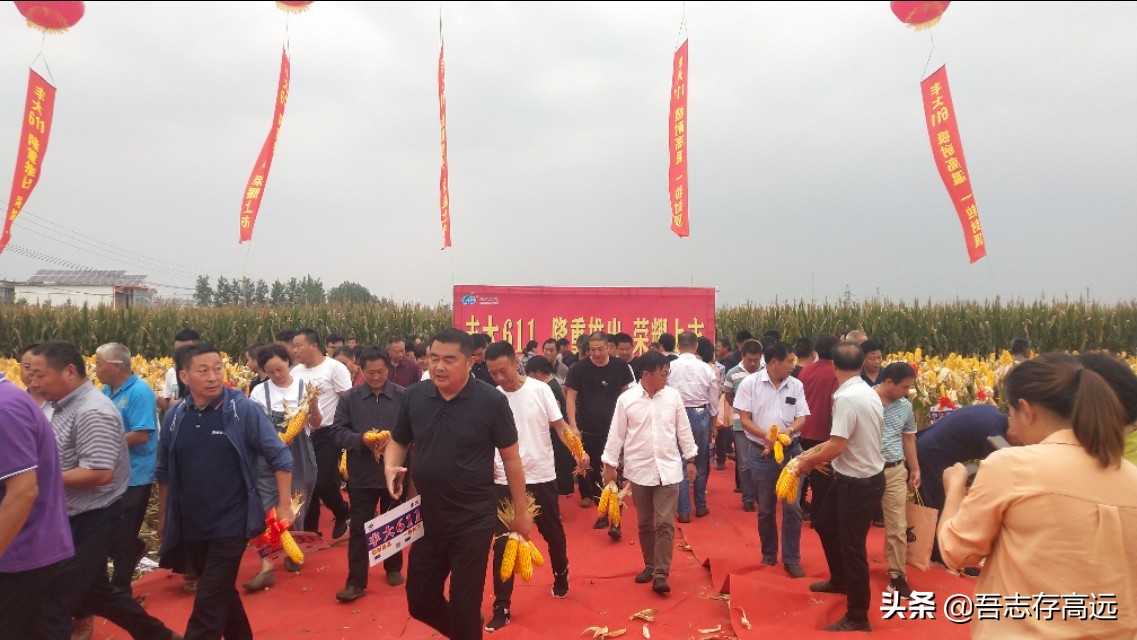 丰大611观摩会,热烈祝贺大会顺利召开视频