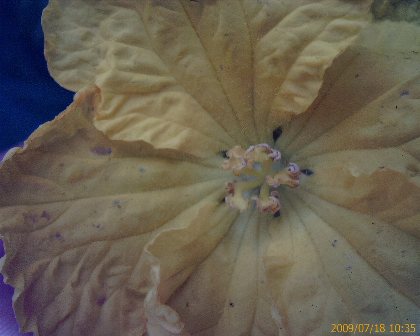 多普达老款,多普达s900新机