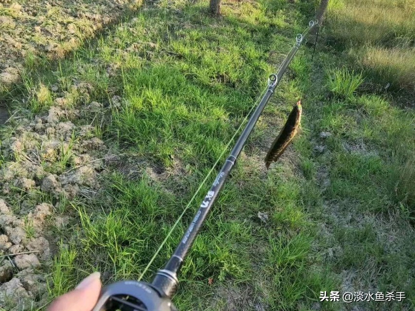 舟山雷强路亚黑鱼,路亚黑鱼雷强结的绑法