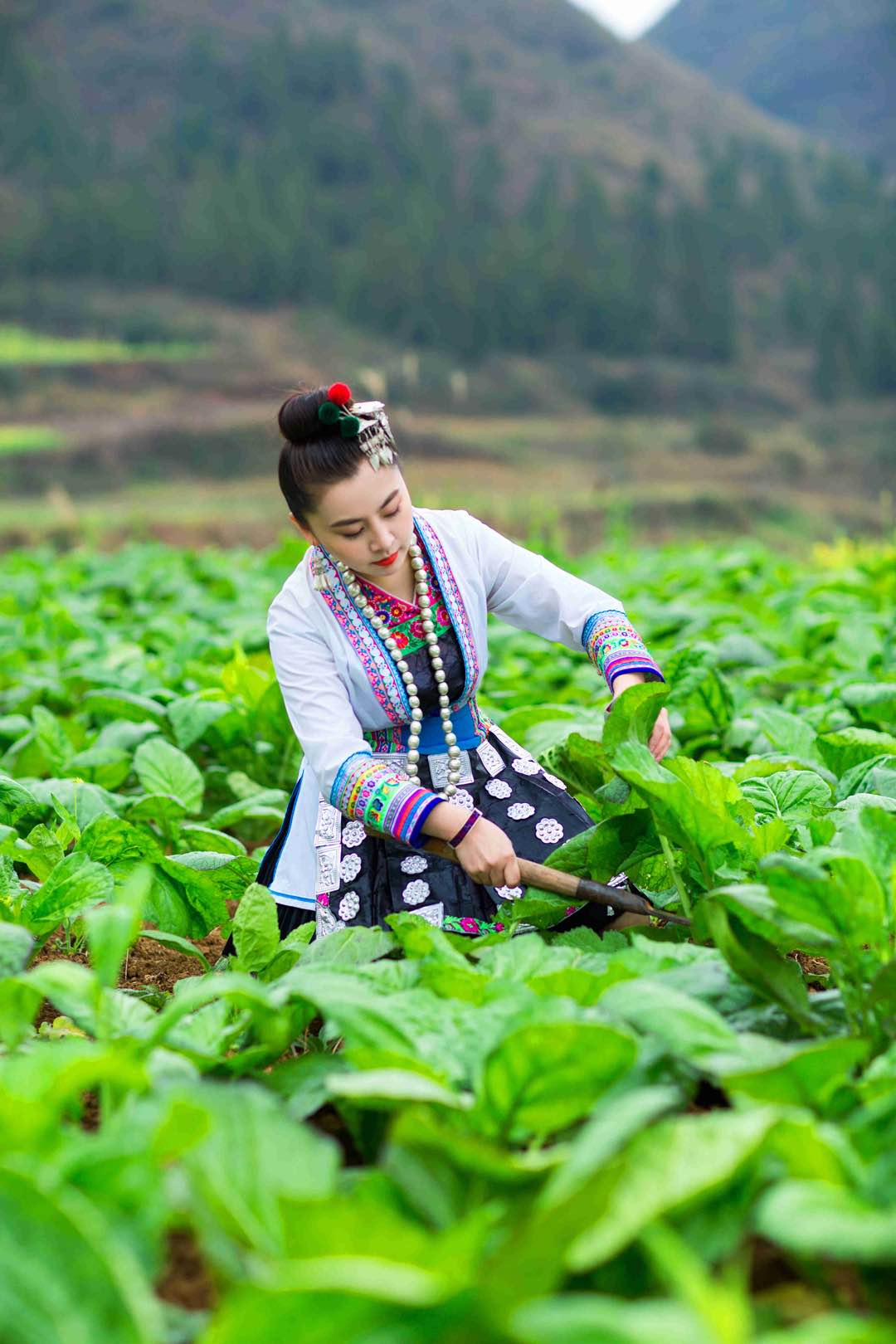 看直播 献爱心买牛肉+青菜 今日下午2点，不见不散！
