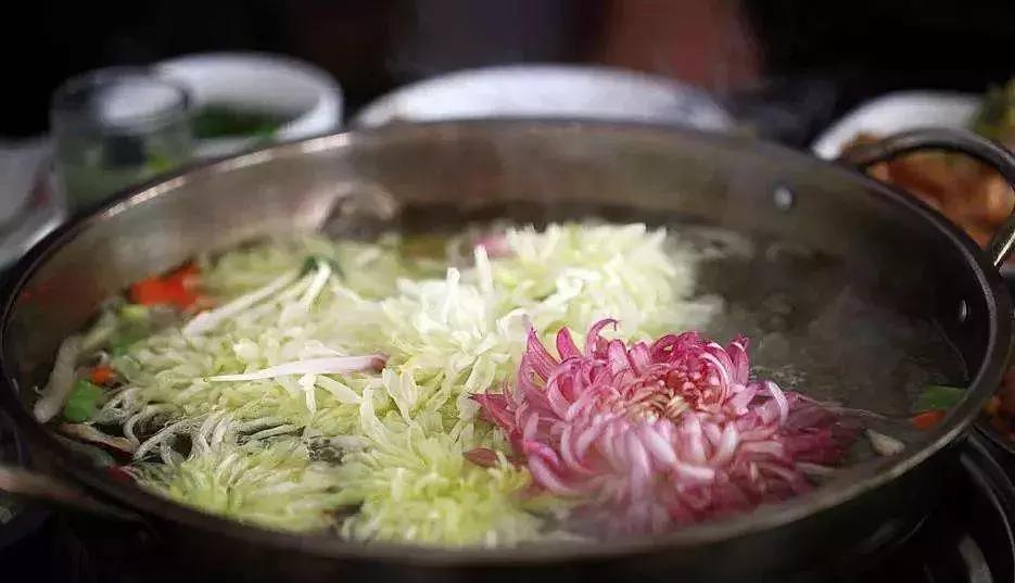 100岁长寿指南:人懒、有钱、吃花、不当官