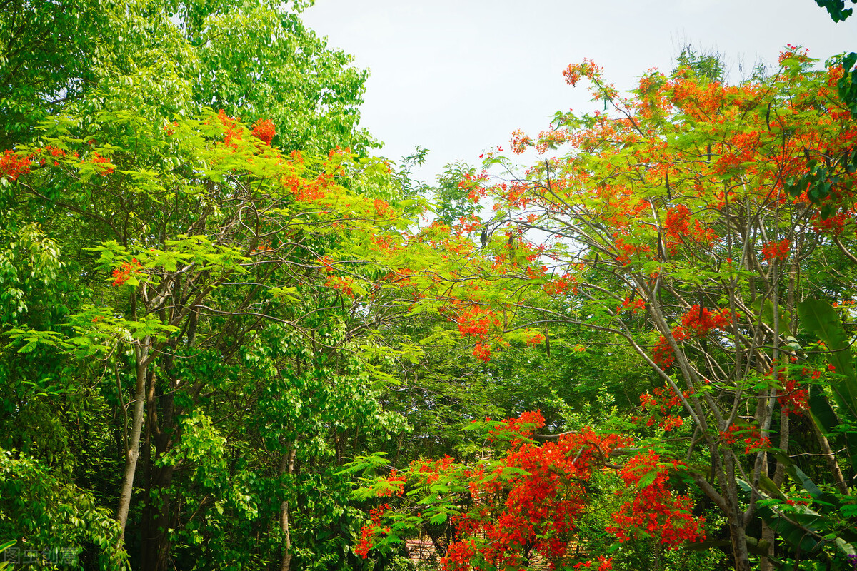 国内最经典12条自驾游线路,国内十大自驾游线路推荐